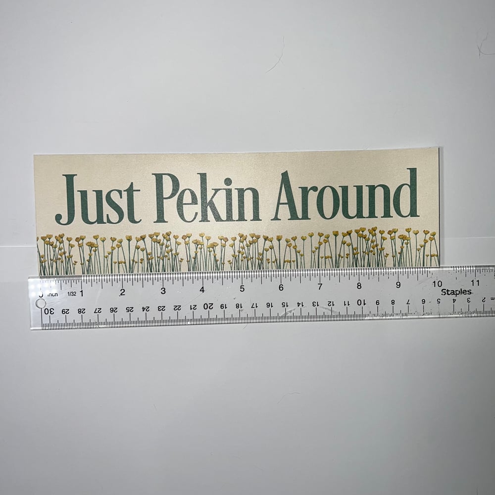 Image of Just Pekin Around Sticker - Pekin Illinois Hometown Pride Decal