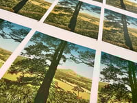 Image 5 of Roseberry Trees