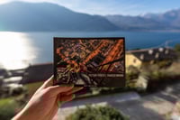 Picture Perfect, Painted Wrong