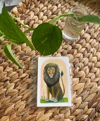 Image 2 of Hello Lion Daisy 