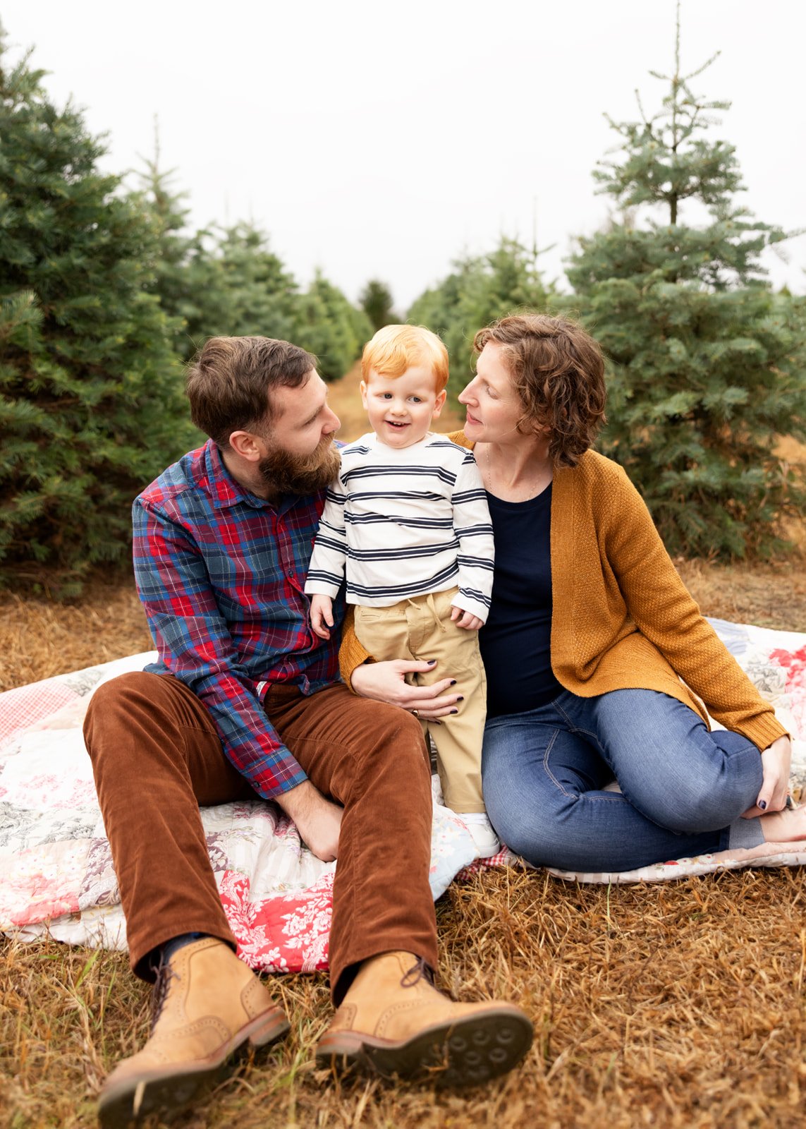 Image of 2025 Christmas Tree Farm Sessions