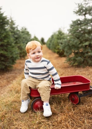 Image of 2025 Christmas Tree Farm Sessions