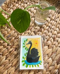 Image 2 of Black Swan Red Sun