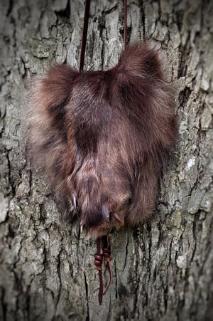 Image of Black Wolf Paw Bag