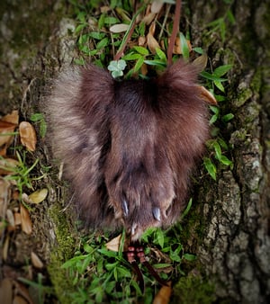 Image of Black Wolf Paw Bag
