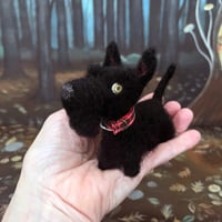 Image 3 of Licorice