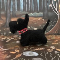 Image 4 of Licorice