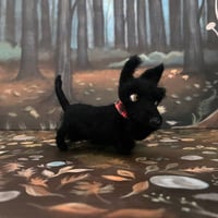 Image 5 of Licorice