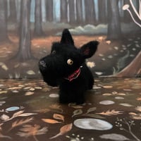 Image 2 of Licorice