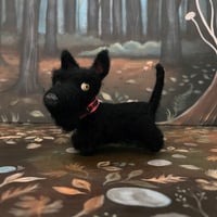 Image 1 of Licorice