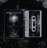 Image 3 of VICISSITUDE