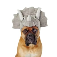 Image 1 of Triceratops Costume Dog