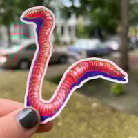 Image 1 of Worm Stickers 