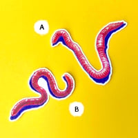 Image 3 of Worm Stickers 
