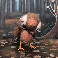 Image 3 of Flutter