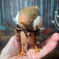 Image 1 of Flutter