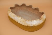 Image 3 of Blushed Scalloped Dish