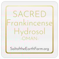 Image 1 of SACRED Frankincense Hydrosol