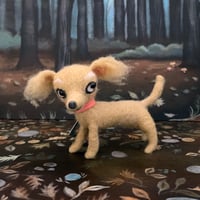 Image 4 of Daisy