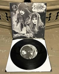 Image 1 of SAIDAN/TRHÄ Split 7inch