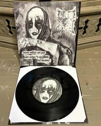 Image 2 of SAIDAN/TRHÄ Split 7inch