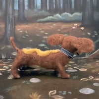 Image 3 of Oscar