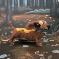 Image 4 of Oscar