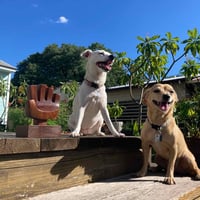 Image 4 of Midcentury-Style Walnut Hand Sculpture