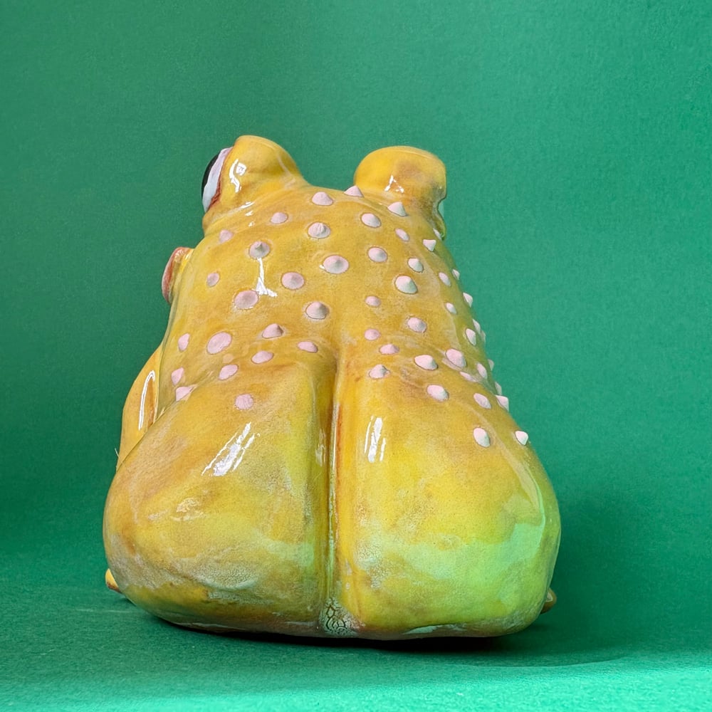 Image of Copy of Sassy Frog Custard