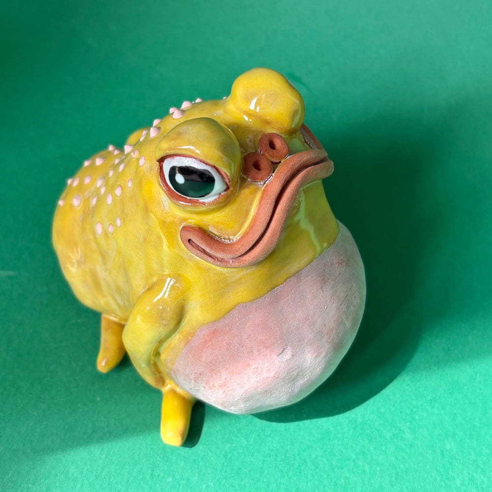 Image of Copy of Sassy Frog Custard