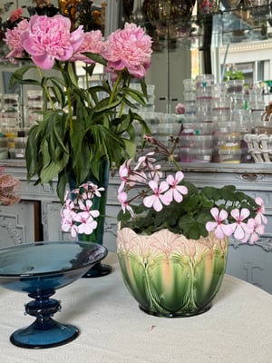 Rörstard Rosa og grøn tidsel majolica 