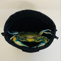 Image 4 of Chesapeake