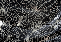 Spiderweb - Black and Silver - Holographic