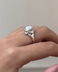 Image of GROTESQUE–06