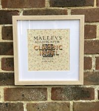 Image 1 of Classic Incel — A4 Sampler Kit (Fabric/Calico)