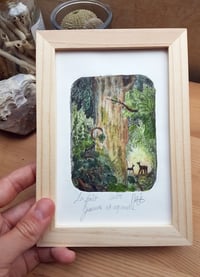 Image 1 of La forêt