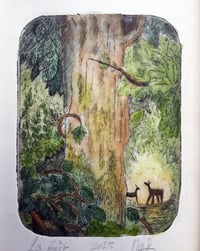 Image 4 of La forêt