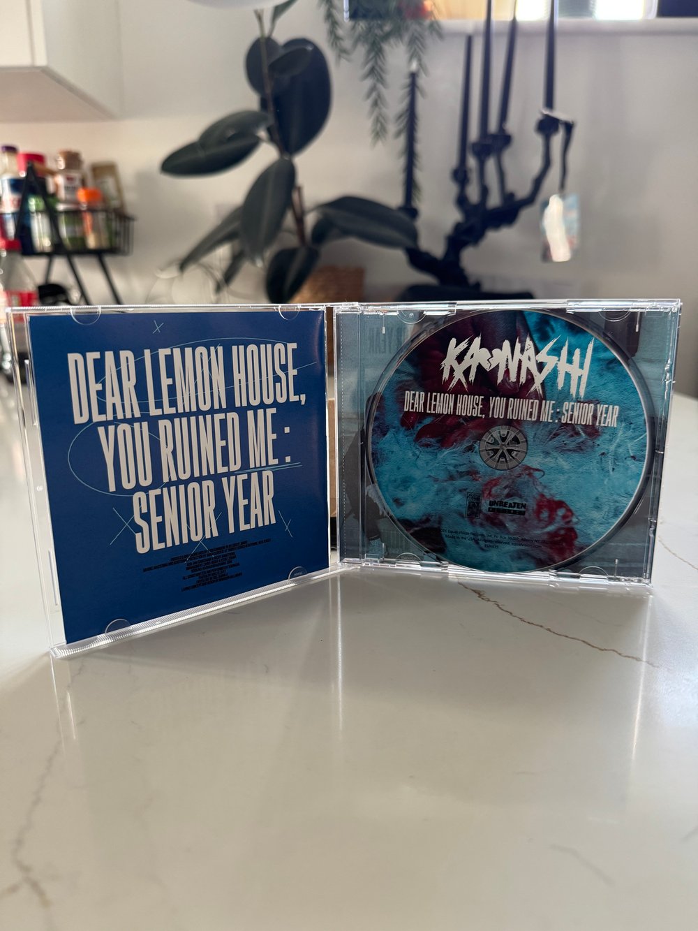 DEAR LEMON HOUSE, YOU RUINED ME: SENIOR YEAR CD