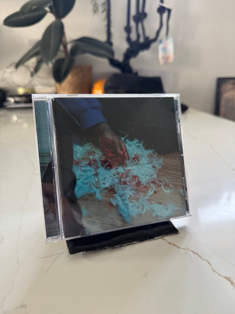 DEAR LEMON HOUSE, YOU RUINED ME: SENIOR YEAR CD