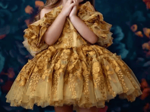 Image of 2025 Holiday Mini Sessions! **retainer**