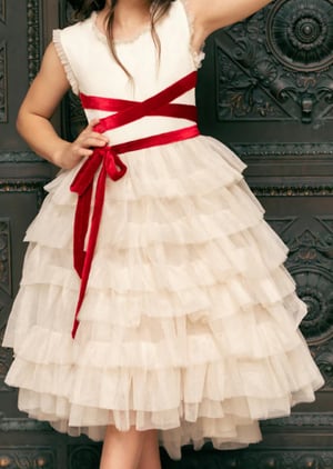 Image of 2025 Holiday Mini Sessions! **retainer**