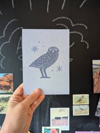 Image 1 of Burrowing owl print