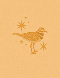 Image 2 of Killdeer print