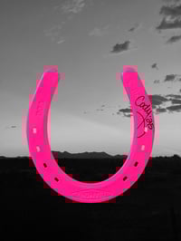 Image 3 of sassy horse
