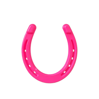 Image 1 of sassy horse