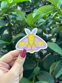 Rosy Maple Moth Vinyl Sticker
