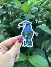 Blue Jay Vinyl Sticker
