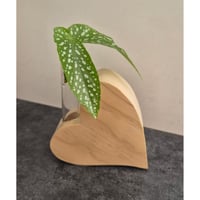 Image 3 of Propagation Station / Vase