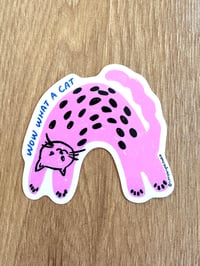 Image 1 of WOW WHAT A CAT bendy cat vinyl sticker