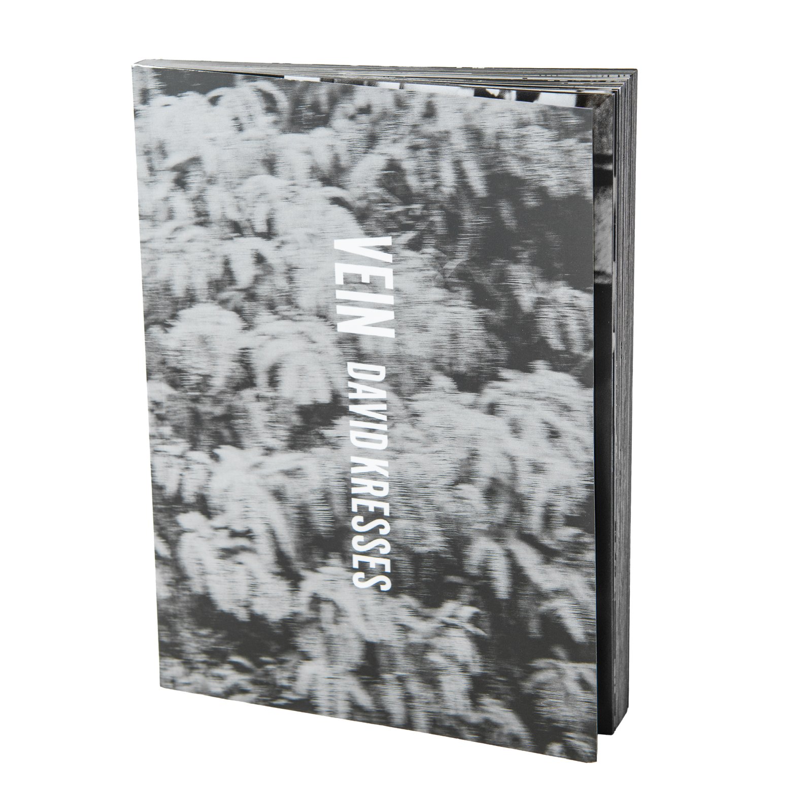 LIEVE VAN GORP写真集等4冊セット Vein: A Photobook | David Kresses